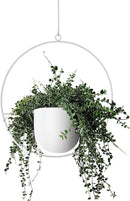 Hanging Planter Indoor Modern Boho Plant Pot Metal Wall and Ceiling Plant Holder Mid Century Minimalist Flower Pot for Hanging Plants, White by GreenHaven Gardens
