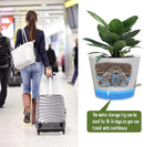 Self Watering Pots for Indoor Plants,12 inch Planters with Drainage Holes Plastic Flower Pots with Deep Reservoir, White by CozyNest Decor