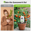 RAINPOINT Smart Digital Wireless Plant Moisture Meter Houseplant Indoor,WiFi Hub Needed,Capacitive Probe,Leave-in Soil Hygrometer Sensor,Real-time Monitor Humidity Tester Outdoor Gardening by GreenHaven Gardens