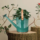 Metal Watering Can for Outdoor and Indoor Plants, Watering Can Decor, 1 Gallon (1 Gallon Green2) by GreenHaven Gardens