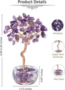 Jovivi Small Amethyst Crystals Tree, Natural Crystal Healing Stones Tree Glass Bowl Base Gemstone Money Trees Feng Shui Good Luck Home Desk Decor by GreenHaven Gardens