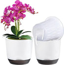 QCQHDU 2 Pack Orchid Pots with Holes for Repotting, Double-Layer and Self Watering Orchid Pot with Good Air Circulation by GreenHaven Gardens