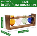 Plant Propagation Stations Heart Plant Terrarium Kit Gift for Women Plant Lover Glass Vases by GreenHaven Gardens