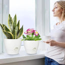 Plant Pots 12/10/9 Inch Self Watering Pots, Set of 3 Plastic Planters with Drainage Holes and Saucers,Plastic Flower Pots,Nursery Planting Pot for Indoor Out Door Plants(Pure White) by GreenHaven Gardens