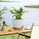 12 inch Large Self Watering Pots for Indoor Outdoor Plants, Flower Plant Pots with Drainage Holes for Garden House Plants, Plastic Planters with Reservoir for Home Plants, White with Brown by GreenHaven Gardens
