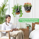 Hanging Planters for Indoor Outdoor Plants, 2 Pack Self Watering Hanging Pot with Drainage Holes, Removable Tray & 2 Kinds of Plant Hangers, 10'' Hanging Flower Pots for Home Garden Decor, Black by GreenHaven Gardens