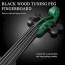 4/4 Beginner Violin Kit for Adults, Complete Full Size Violin Set with Portable Case, Bow, Rosin, Green by TinyTreasures Baby Boutique