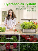 LetPot LPH-SE Hydroponics Growing System, 12 Pods Smart Herb Garden Kit Indoor, Indoor Garden, APP & WiFi Controlled, with 24W Growing LED, 5.5L Water Tank, Pump System, Automatic Timer by GreenHaven Gardens