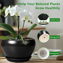 Ceramic Pot for Plants - 11 Inch Plant Pot Indoor with Drainage Hole and Saucer Large Planter Decorative Planter Modern Outdoor Flower Pot for House Balcony Black by GreenHaven Gardens