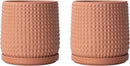 D'vine Dev Set of 2 Ceramic Plants Pots, 6 Inch Beaded Stoneware Flower Pot for Plants with Drainage Hole and Saucer, Terracotta, 27-E-X-7 by GreenHaven Gardens