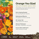 Eden Brothers Orange You Glad Flower Mixed Seeds for Planting, 1 lb, 480,000+ Seeds with Dahlia, Double Strawflower | Attracts Pollinators, Plant in Spring or Fall, Zones 3, 4, 5, 6, 7, 8, 9, 10 by GreenHaven Gardens