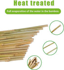 2ft Natural Bamboo Plant Stakes for Tomatoes, Beans, Flowers, Potted, Climbing Plants 25pcs by GreenHaven Gardens