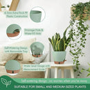 montresor 2 Pack 8 inch Plant Pots, PP Plastic Self Watering Plant Pot with Drainage and Tray for Indoor Outdoor Plants, Water Level Window & Reservoir Flower Pots Decorative Planter (Green) by CozyNest Decor