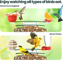 SOLIOM Solar Bird Feeder with Camera for Outdoors - AI Smart Birdhouse, 2K Live View & Instant Alerts, Squirrel Proof - Perfect Bird Watching Gift (Green) by GreenHaven Gardens