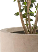 Kante 9.8",12.6",15.7" Dia Round Concrete Planter Set of 3, Modern Style Large Cylindrical Plant Pot with Drainage Hole and Rubber Plug for Indoor Outdoor Patio, Weathered Concrete by GreenHaven Gardens