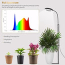 GLOWRIUM Grow Lights for Indoor Plants, 20W Full Spectrum LED Grow Light Floor Lamp with Stand Adjustable Height and Angle, Black Plant Light with 3/9/12H Grow Light Timer by GreenHaven Gardens