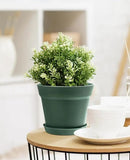 Homenote Plant Pots,15 Pack 6 inch Flower Pots with Multiple Drainage Holes and Saucers,Plastic Planters for All Home Garden Flowers Succulents(Green) by GreenHaven Gardens