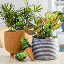 4 Pack Terracotta Christmas Tree Automatic Plant Watering Devices,Household self Watering Planter Insert, Watering Spikes for Indoor Plants,Holiday Potted Plant Continuous Moisture Device by GreenHaven Gardens