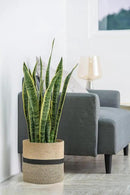 Dahey Jute Rope Plant Basket Modern Woven Storage Basket for 10" Indoor Planter, Decorative Flower Pots Cover Laundry Bin with Handle Rustic Home Decor, Black by GreenHaven Gardens