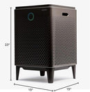 Coway Airmega 400S(G) App-Enabled Smart Technology Compatible with Amazon Alexa True HEPA Air Purifier, Covers 1,560 sq. ft, Graphite by TinyTreasures Baby Boutique