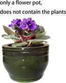 African Violet Pots Self Watering Round Ceramic Violet Pot (Olive drab, 6 inch) by GreenHaven Gardens