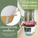 ZMTECH 12 Inch Hanging Planters for Indoor Outdoor Plants, 2 Pack Self Watering Hanging Plant Pots with Drainage Hole, Visual Reservoir, Plastic Flower Hanging Pots with Watering Lip (White) by GreenHaven Gardens