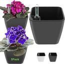 Self Watering Planters for Indoor Plants 5 inch 3 Pack Grey Planter with Water Level Indicator African Violet pots by GreenHaven Gardens