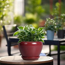 Ceramic Pot for Plants - 6 Inch Plant Pot Indoor with Drainage Hole and Saucer Succulent Pot Outdoor Planter Round Flower Pot for House Patio Decor Red by GreenHaven Gardens