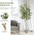 6 Feet Artificial Olive Tree in Cement Pot by LJGDeals