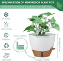 montresor 2 Pack 10 inch Plant Pots, PP Plastic Self Watering Plant Pot with Drainage and Tray for Indoor Outdoor Plants, Water Level Window & Reservoir Flower Pots Decorative Planter (White) by CozyNest Decor