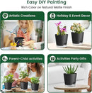 6 inch Self Watering Pots for Indoor Outdoor Plants, 6 Pack Flower Plant Pots with Drainage Holes and Clear Reservoirs, Visible Water Level, Plastic Planters with Wicking Rope, Black by GreenHaven Gardens