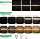 Two Strip Growing Lamp 2-Pack for Indoor Plants, 3000K Full Spectrum LED Grow Light Strips with Auto ON/Off 3/9/12H Timer & 10 Dimmable Levels for Green House Succulent (2 Head×2pcs) by GreenHaven Gardens