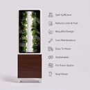 Just Vertical EVE Indoor Hydroponic Garden | Modern Furniture-Style Vertical Planter | Grow 12 Fresh Herbs & Vegetables Year-Round | Self-Watering, Energy-Efficient LED, Compact Design by GreenHaven Gardens