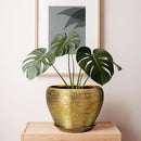 Ceramic Planter 10 Inch - Indoor Plant Pot with Drainage Hole and Saucer Large Decorative Planter Mid-Century Modern Flower Pot Outdoor for Home Decor Gold by GreenHaven Gardens