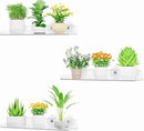 Lifewit Window Plant Floating Shelves 15 inch, 3 Pack Acrylic Suction Cup Shelf, Window Sill Extender for Indoor Succulent Plants, Micro Greens, Seed Starter Pots, Herb Planters by GreenHaven Gardens