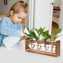 Plant Propagation Stations Heart Plant Terrarium Kit Gift for Women Plant Lover Glass Vases by GreenHaven Gardens