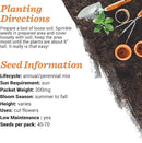 BENTLEY SEED CO. Oh Baby Seed Packets|Girl or Boy Baby Shower Favors for Guests | 25 Wildflower Seed Packets | Pre-Filled | Bouquet Wildflower Mix | Non-GMO Seeds | Gender Neutral | Eco-Friendly Gift by GreenHaven Gardens