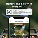 Smart Squirrels-Proof Bird Feeder with Camera Solar Powered, AI Identify Bird Species, Instant Notification Camera, CCPA Data Security, 3.2L Ultra Large Capacity Gift by GreenHaven Gardens