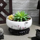 Ceramic Chinese Pot with Base Hydroponic Pot White Water Lily Bowl Ceramic Planter for Home Office Garden 7 Inch by GreenHaven Gardens