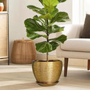 Ceramic Plant Pot 8 Inch - Planter for Outdoor Plants Indoor Plant Pot with Drainage Hole and Saucer Decorative Round Planter Modern Flower Pot for House Decor Gold by GreenHaven Gardens