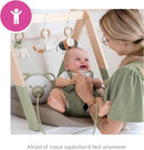 Nosiboo Pro Nasal Aspirator for Babies | Electric Nose Sucker | Made in EU | Adjustable Suction Power | Premium Quality | Award-Winning Design (Sage, 7,8x6,38x6,77 Inch) by TinyTreasures Baby Boutique