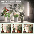 T10 Vertical Grow Light, 6000K Full Spectrum Desktop Plant Light 18.9",Hung or Stood, with 3 Modes & 5 Dimming Levels, Suitable Small & Medium Plants Indoors, Auto On Off Timing 4/8/12/18Hrs (1) by GreenHaven Gardens