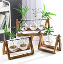 Kingbuy Plant Terrarium Propagation Station - 3 Glass Bulb Vases with Retro Wooden Stand Boho Desktop Planter for Hydroponics Home Garden Indoor Home Office Decor Unique Gifts for Women & Plant Lovers by GreenHaven Gardens