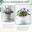 4 Set 6 Inches African Violet Pots Self Watering White Ceramic Pot for Indoor Plants, Flowerpot with Highly Absorbent Inner Pot for Busy Plant Lovers,Plant Care by GreenHaven Gardens