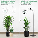 Floor Grow Lights for Indoor Plants, Full Spectrum Plant Light with 68" Stand for Growing Large Tall Plants, Halo Plant Grow Light with 6/12/16H Timer, 3 Light Modes Indoor Plant Light by GreenHaven Gardens