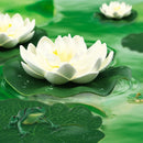 10pcs Artificial Floating Foam Lotus Flowers with Artificial Frog Lotus Leaves, Lily Pads for Lake, Pond Plants Ornaments for Pool Aquarium Water Decoration, White by GreenHaven Gardens
