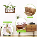 Plant Propagation Station Plant Terrarium Unique Birthday Gifts for Women Plant Lovers Home Office Decor Planter with Wooden Stand - 3 Bulb Glass Vase by GreenHaven Gardens