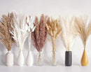 125 PCS Dried Pampas Grass Bouquet, Boho Table Decor, Bunny Tails Dried Flowers, Brown Pampas, White Pampas Grass for Weddings, Home Decor, Rustic Parties, and Baby Shower Decorations by CozyNest Decor