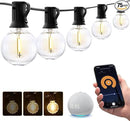 XMCOSY+ Smart Outdoor String Lights, 150Ft G40 Globe Patio Lights with 75 LED Bulbs, WiFi & APP Control, Work with Alexa, Extendable Waterproof Dimmable LED String Lights for Outside, Porch, Cafe by GreenHaven Gardens