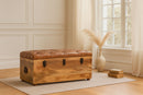 Buffalo - Storage Trunk by HouseOfZazla